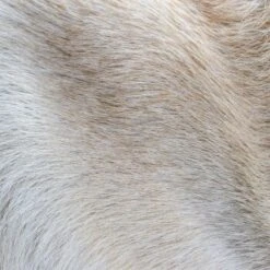 THE DOG IDEA Klassische Hundebürste Naturfibre 9 THE DOG IDEA Klassische Hundebürste Naturfibre -ROYAL CANIN Verkaufsgeschäft 676bdeb1a8deaabc9fd3f5e57dee401f0e69a9f8 1485270 de DE eacaeb5bfae7cf6612554a6aa926d1cc6dfba5918XqumA