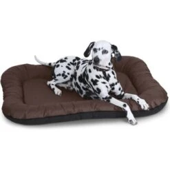 Knuffelwuff Wasserfestes In Und Outdoor Hundebett Lucky Aus Nylongewebe Braun L -ROYAL CANIN Verkaufsgeschäft 6783d4b4486968313387c4f84d58f43745f1a98a 1412280 de DE c74c650ca2b7e352a27e1b6a3687896ed8227503mfmsuV