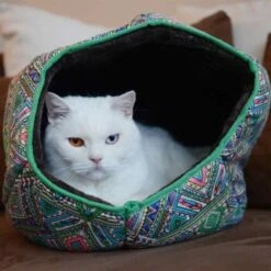 Canadian Cat Company Katzentunnel COSMO M -ROYAL CANIN Verkaufsgeschäft 67f448259cbca2b76f0f056d6321e3f462cbbfb2 1412665 de DE 5bb2b25340ddb934c05b11da4b3410ce26fcf1f8fEc8B6