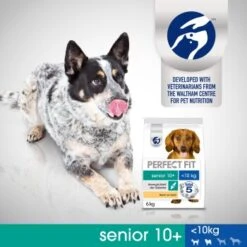 PERFECT FIT Senior Huhn 6 Kg -ROYAL CANIN Verkaufsgeschäft 68d6aec4fdd0f036b3575c00397a285d61776a22 1390282 de DE SI07 PFT Dog Dry Senior XSS Chicken 825g DAM