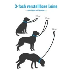 Freudentier Runde Hundeleine Aus Nylon -ROYAL CANIN Verkaufsgeschäft 692dbbac1083ee66fa475f5bad6319cdc75fd2a1 1427873 de DE 442785339bf092d77cad564efe923e074b38a679cP6nA6