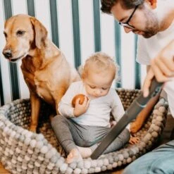 THOMAS AQUA+ Pet & Family Parquet Pro -ROYAL CANIN Verkaufsgeschäft 6a06a607313dbd894623286e7a98c7773a1034a3 1406735 de DE 19e0df3761ba1c9d0c13778d17fc55d12b702950RpbbLZ