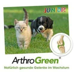ArthroGreen Junior 25 G -ROYAL CANIN Verkaufsgeschäft 6a60d69f3d1c00ba35978cfcbf4d867d243561bc 1674241 de DE bed99a5dadc632a71630f6b3e1df7dd049168828anHF6x