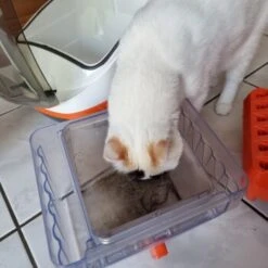 THOMAS Staubsauger 17 THOMAS Staubsauger -ROYAL CANIN Verkaufsgeschäft 6a70c632a0bab42059bec4b43d139a5d2e40f9ae 1406733 de DE e7e44b3ec14bf6f4d989c5887e4e07bdd5895c48xakBwm