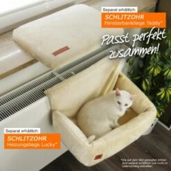 Schlitzohr Ersatzbezug Fensterbankliege -ROYAL CANIN Verkaufsgeschäft 6a9ed296d9ab845a3e26c8c152c9cb49754a74d5 1484678 de DE 8cd7bef9b12008635ba60f2cfbe2e5c9414bbe44LEVwld