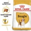 ROYAL CANIN Beagle Adult 3 Kg 2 ROYAL CANIN Beagle Adult 3 Kg -ROYAL CANIN Verkaufsgeschäft 6aa397bd67655ca67487c7e57c2fab74c982de78 2ef00678fccbd602c59ee68aa6dd088a75364fc6