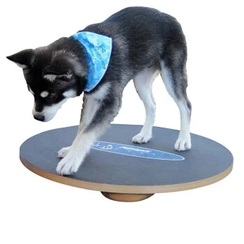 Altranet Fitpaws 20 Wobble Board 3 Altranet Fitpaws 20 Wobble Board