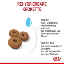 ROYAL CANIN MAXI Starter 15kg -ROYAL CANIN Verkaufsgeschäft 6b3d4eca89fc38af516846f4b626b5bde7538980 1044296 de DE royalcaninwb4