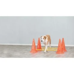Trixie Dog Activity Hindernisse Ø30x50cm -ROYAL CANIN Verkaufsgeschäft 6cdc5fcad8863d099fbe4be1481c382eac5c24e1 1287033 de DE Trixie Hindernisse wb 3