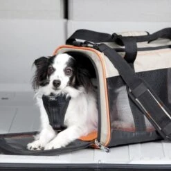 Kurgo Tragetasche Wander Carrier -ROYAL CANIN Verkaufsgeschäft 6ce3d4aba3fb047e995ae3cea4a0a0877e14c563 9554bce7b8a3b566d41ee9d3cf7ab48d568f3e72