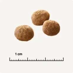 SELECT GOLD Senior +12 Geflügel Mit Reis 3 Kg -ROYAL CANIN Verkaufsgeschäft 6db53d99e99530132bf34d8482d69f423780c004 1081823016 de DE 6 1