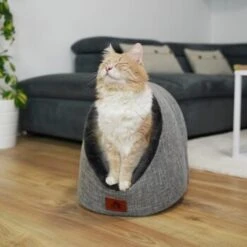 Schlitzohr Katzenhöhle Oskar Grau -ROYAL CANIN Verkaufsgeschäft 6dc322d0c0c691311c750126461acbb0bfd7f106 1484676 de DE cf48f7f4d140da3e59fb3189e3029debd29d4937tKSJNT