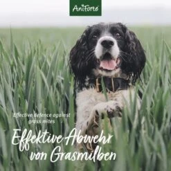 Aniforte Grasmilben-EX Spray Für Hunde 250ml 8 Aniforte Grasmilben-EX Spray Für Hunde 250ml -ROYAL CANIN Verkaufsgeschäft 6e1e18b7b0a1d1f59bce3c680af6b1a3c8894f80 1655909 de DE e3905507b4127feea49671bfd5a4aadf453616663qtQ4B