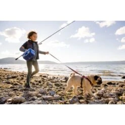 Ruffwear Front Range™ Geschirr Rubin S -ROYAL CANIN Verkaufsgeschäft 6e32be207c67c2574683630df82968507bc4c677 1651482 de DE 4df48129b099e5ffb8e84cb1b098d1304fc9cb0cGnR6Nb