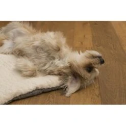 TrendPet Heaven Gefütterte Liegedecke Beige XS -ROYAL CANIN Verkaufsgeschäft 6f0762b8ea010ef696f1e6b7b2d164775a699202 1247692 de DE 1b30b7ee4e67b9ef5127b085f041b5de3ea0fafdm2xGRF