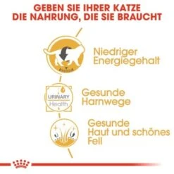 ROYAL CANIN British Shorthair 12x85g -ROYAL CANIN Verkaufsgeschäft 6f1dc92b9b52a43d2267d34aab253596e7be143a 7f0fd40bf73b9dd0972df6cd9651a951bdb28212