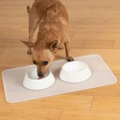 KaraLuna Basic Napfunterlage Transparent S -ROYAL CANIN Verkaufsgeschäft 6f92b46b9666870298738b4bee75a50ee534fac6 1407499 de DE 14497c23a79b7136237df13f9c32b5ed84fd5ff04vyZgl