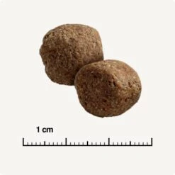 SELECT GOLD Sensitive Maxi Adult Insekt 12kg 14 SELECT GOLD Sensitive Maxi Adult Insekt 12kg -ROYAL CANIN Verkaufsgeschäft 7015603a3156e3029a135cff15a95f9a59c01163 1344001 de DE 6