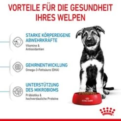 ROYAL CANIN Maxi Puppy 10x140g 11 ROYAL CANIN Maxi Puppy 10x140g -ROYAL CANIN Verkaufsgeschäft 726a99c8ae223a8a5713e5eebf41ef80f580fe60 3182550402163 5