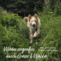 Aniforte Z-Season Snack 350g -ROYAL CANIN Verkaufsgeschäft 73a9c702b62350d9977522526f40b2f15ac1a87b 1495364 de DE a9f698c76a12bd39e549344514374e4b07a0f5b8wxpq6a