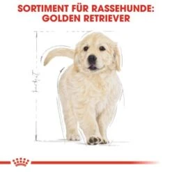 ROYAL CANIN Golden Retriever Puppy 12 Kg -ROYAL CANIN Verkaufsgeschäft 73c01baa5617d8e4eefc140421f005671443a632 2410f5454822a7466dc6948215a65959073407bf
