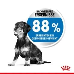 ROYAL CANIN Light Weight Care Mini 8 Kg -ROYAL CANIN Verkaufsgeschäft 73cb19432c40af813af2fa667e2cf0db80b7fcb3 97901e2cf1d9e55546584669b98a03adbfbffcda