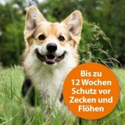 Ardap Spot-On Für Hunde M -ROYAL CANIN Verkaufsgeschäft 754cb0999b71200c7309e0ceebfa48c781455c5a 1150898 de DE 985bac0b3c4e553309f761cccdf8a28957d958admDXlh4