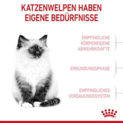 ROYAL CANIN Kitten 4 Kg 14 ROYAL CANIN Kitten 4 Kg -ROYAL CANIN Verkaufsgeschäft 76c69f287cfbe56e3ecbc6374c1c83282049ff9f 3182550702973 4