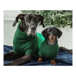GF Pet Trail Pullover Forest Grün XXXS -ROYAL CANIN Verkaufsgeschäft 779f298087cae5c721d39d0e409ff830d9702e07 51764b41ec1e519efc4e7ae3561161e25d618dc0