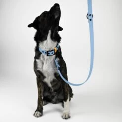 THE DOG IDEA Biothane Hundeleine Hellblau -ROYAL CANIN Verkaufsgeschäft 7894d392b3a84299083da5a1cf48659fc04c5eb5 1497679 de DE ddddea7a0f360bcd4a1dbb95c0567b452d4a6050XQDtS7