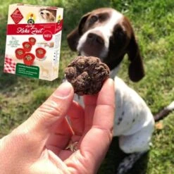 ChronoBalance Backmischung Für Hundekekse Getreidefrei + Form Mit Apfel & Dinkel -ROYAL CANIN Verkaufsgeschäft 791cb4d2028c3feba1e17eb7afcd1dc0477a3e51 1409548 de DE 8fa4e8db7b8a77ca60b4ef08f2d4cbbb72f1ad0bO5ya0q