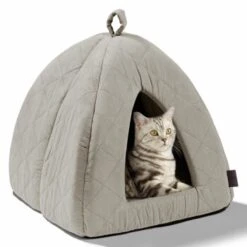 MORE Höhle Diamond -ROYAL CANIN Verkaufsgeschäft 7939acaef98cdb9195a642e4ff359691740fc0e9 84dbe0d60d2ca1e5170055a2164cc0d47aaedf72