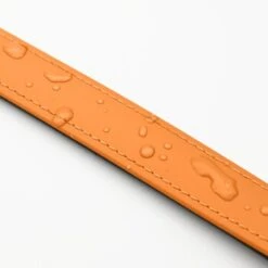 THE DOG IDEA Biothane Halsband Peach Pink M -ROYAL CANIN Verkaufsgeschäft 79a2111ad40e5fad15daace172221374f98e6cc4 1679187 de DE 51bb020948375b628b5548a37c78dbf992c16262Tnehdd