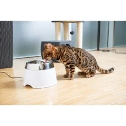 AniOne Edelstahl-Trinkbrunnen Trevi Ohne Ersatzfilter 7 AniOne Edelstahl-Trinkbrunnen Trevi Ohne Ersatzfilter -ROYAL CANIN Verkaufsgeschäft 7a066af048695bbfaeca0a855e5984fc3bf99d03 689fcf415d486ac05c07f2a4868b1d087d7a9ece