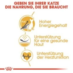 ROYAL CANIN Sphynx Adult 10 Kg -ROYAL CANIN Verkaufsgeschäft 7ad1bdc3999349cafae1459c3c182b6552d5adfd b7ee4724e59d51ce320d09e32faae7a8df47303e