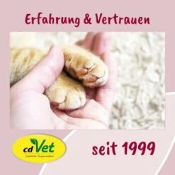 FeliTATZ FellGlanz -ROYAL CANIN Verkaufsgeschäft 7b983d72d2823b0db9ac615f4b9eda9a9cc31838 1666313 de DE bfdb4b813f4d094cdfef4c88f0fa4e20008c32c8J2LDce