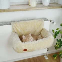 Schlitzohr Heizungsliege Lucky Beige 14 Schlitzohr Heizungsliege Lucky Beige -ROYAL CANIN Verkaufsgeschäft 7bab29708c56b6f70695735987b821094f74efb9 1484673 de DE 775053056e82816b2424b888f536a523a0880ea7ZfMupV