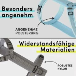 STUCH Geschirr Hund Gepolstert Schwarz XS -ROYAL CANIN Verkaufsgeschäft 7c1f0c8ff775c50c5b8126957113b6eb05f29ad4 1410595 de DE a4ae0b7a8ffc6f7f19d793017e898bdceeb314c9qzj83S