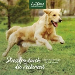 Aniforte Zecken Schild (10 Bis 35kg) Für Hunde 60 Kapseln -ROYAL CANIN Verkaufsgeschäft 7c1f9419501c73304f8da74439e2793f1ac19534 1332832 de DE 6b0465714e7043aa512f07a2e3a3c8a3a07d4c02tI7JlQ
