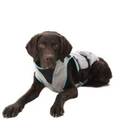 Trovet Suitical Kühlweste Dry Cool M -ROYAL CANIN Verkaufsgeschäft 7c6cb463b1c403c67dd5b0537c226320cd47afee 1321386 de DE Trovet suitical 5 Kopie