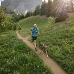 Ruffwear Geschirr Front Range Royal S -ROYAL CANIN Verkaufsgeschäft 7cd4ea5adf1fdc35781230e6c023498b24168836 ac7a58cc12aedffd44e136b9b635ff4da182c643