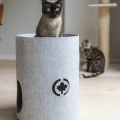 Canadian Cat Company Filzbett Owen-Tower -ROYAL CANIN Verkaufsgeschäft 7de15b7ab3d0a3da50a54b91f1a6b746b12be302 1394209 de DE 768a45a9be27cfd0fb27e1bf0942b4e67e500c7ee16ity