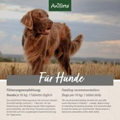 Aniforte Plus Magen & Darm 90 Tabletten -ROYAL CANIN Verkaufsgeschäft 7f8f2a9e3dfb6b1b6bfc2c46c90c19d71a287a4e 1455900 de DE 2a5fad406f9271ee48566f61f7a7426e7429e69egnnmrI