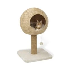 AniOne Kratzbaum Taro -ROYAL CANIN Verkaufsgeschäft 8015d7b4c0183292da7990dff25b7ff1c97f7ca6 4661a3fe35a0d785da64c78b80181fd4eec21218