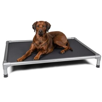 TrendPet HighBed Hochbett Für Hunde Grau M 6 TrendPet HighBed Hochbett Für Hunde Grau M – Bild 4