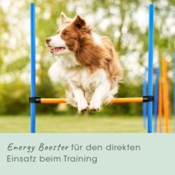 CdVet EnergyUp 450g -ROYAL CANIN Verkaufsgeschäft 81112aeb6902553b69cb41cf11d7fe161984d344 1667440 de DE fc558df44802419b4545b3be6860d940a3342110fWQbUl