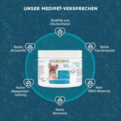 MediDog Kokos Paste -ROYAL CANIN Verkaufsgeschäft 8131aaea912cbf75cb3314fa956ab4553171405e 1660401 de DE fe461295d3ffae968465359c950a2ded462dfe7aWamnHQ