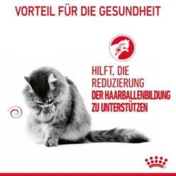 ROYAL CANIN Hairball Care 12 X 85 G -ROYAL CANIN Verkaufsgeschäft 81812c97ef6be37b8d0c7dab9df24712cfb21604 1229818 4
