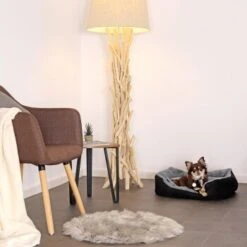 Lionto Hundekissen, Hundebett / Katzenbett Mit Wendekissen Grau/ Schwarz S -ROYAL CANIN Verkaufsgeschäft 823dc7868190f45cea2c3c69e9102b53416c384a 1642112 de DE f5ac064edf3f1139620b324558b4bbfb2c0800472VwXQ8