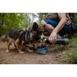 Ruffwear Great Basin™ Napf Schieferblau S -ROYAL CANIN Verkaufsgeschäft 824b44ccf17c67c3dd43e5523941633c95efed85 1651551 de DE fad827ec7223895423979e3215d64ffaeae47c26HGRUuZ